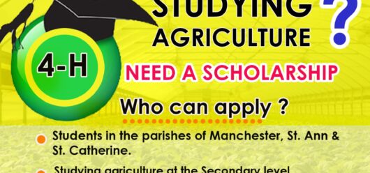AGRICULTURE SCHOLARSHIPS AVAILABLE.